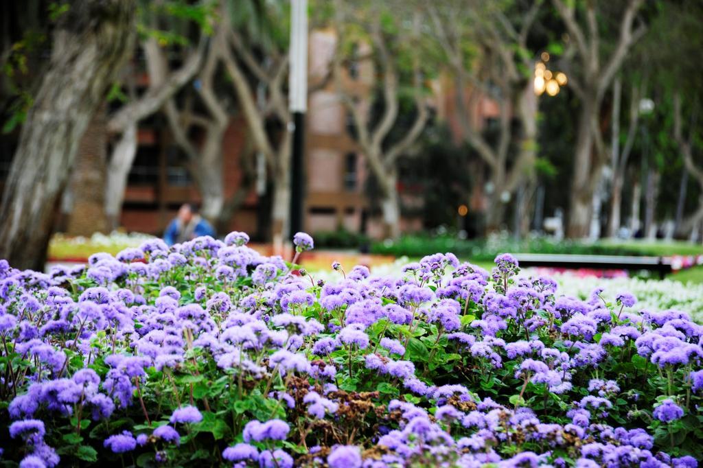 Roosevelt Hotel & Suites Distretto di Distretto di Lima Esterno foto
